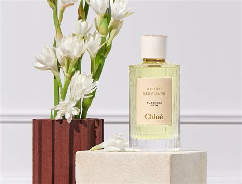 chloe perfume shop|chloe perfumes official.